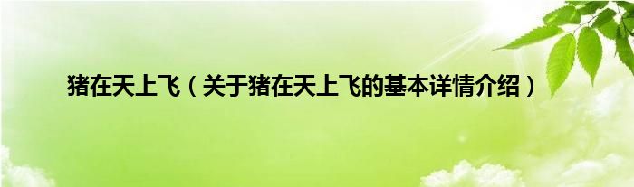 猪在天上飞（关于猪在天上飞的基本详情介绍）