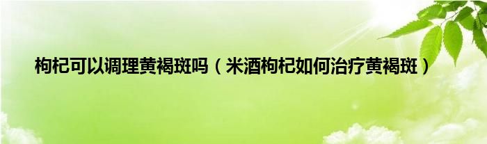 枸杞可以调理黄褐斑吗（米酒枸杞如何治疗黄褐斑）