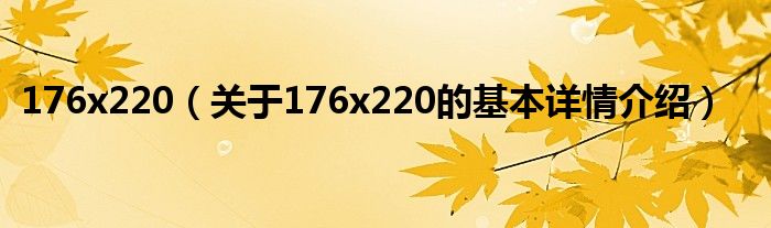176x220（关于176x220的基本详情介绍）
