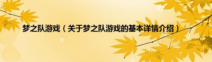 梦之队游戏（关于梦之队游戏的基本详情介绍）