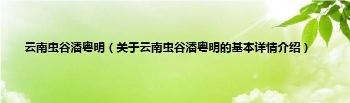 云南虫谷潘粤明（关于云南虫谷潘粤明的基本详情介绍）