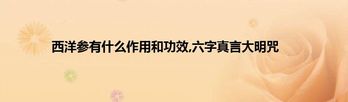西洋参有什么作用和功效,六字真言大明咒