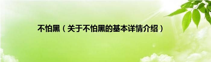 不怕黑（关于不怕黑的基本详情介绍）