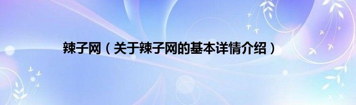 辣子网（关于辣子网的基本详情介绍）