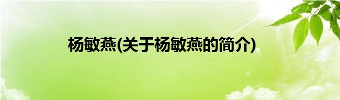 杨敏燕(关于杨敏燕的简介)