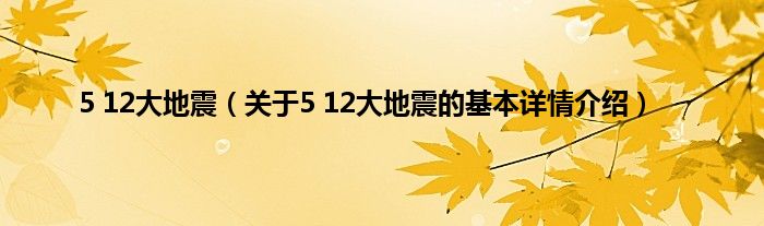 5 12大地震（关于5 12大地震的基本详情介绍）