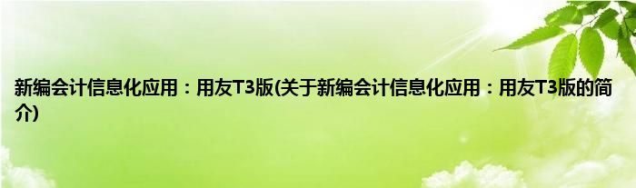 新编会计信息化应用:用友T3版(关于新编会计信息化应用:用友T3版的简介)