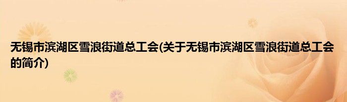 无锡市滨湖区雪浪街道总工会(关于无锡市滨湖区雪浪街道总工会的简介)