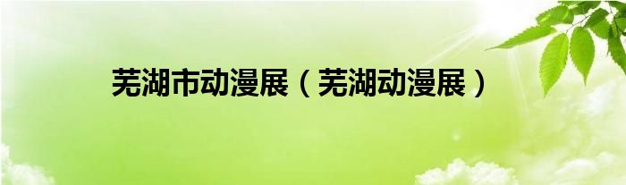 芜湖市动漫展（芜湖动漫展）