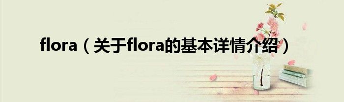 flora（关于flora的基本详情介绍）