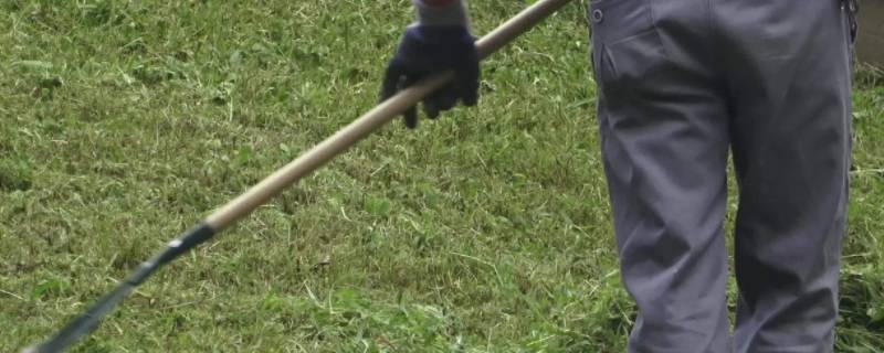 除草是什么季节