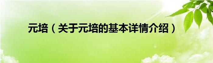 元培（关于元培的基本详情介绍）