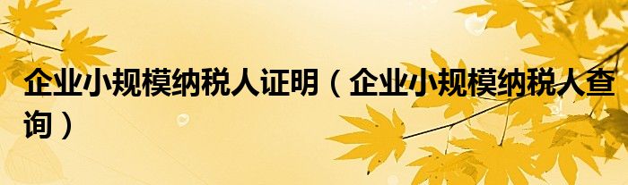 企业小规模纳税人证明（企业小规模纳税人查询）