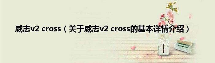 威志v2 cross（关于威志v2 cross的基本详情介绍）