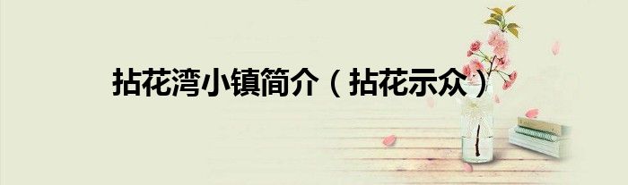 拈花湾小镇简介(拈花示众)
