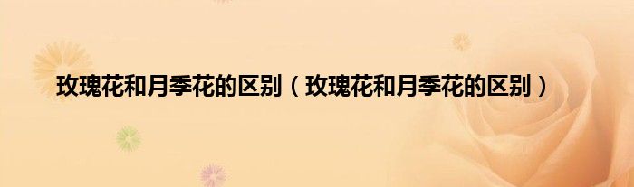 玫瑰花和月季花的区别(玫瑰花和月季花的区别)