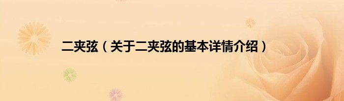 二夹弦（关于二夹弦的基本详情介绍）
