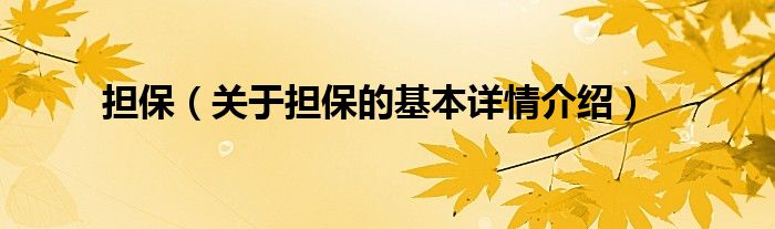 担保（关于担保的基本详情介绍）