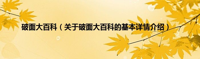 破面大百科（关于破面大百科的基本详情介绍）