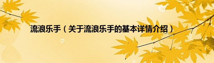 流浪乐手（关于流浪乐手的基本详情介绍）