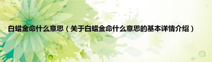 白蜡金命什么意思（关于白蜡金命什么意思的基本详情介绍）