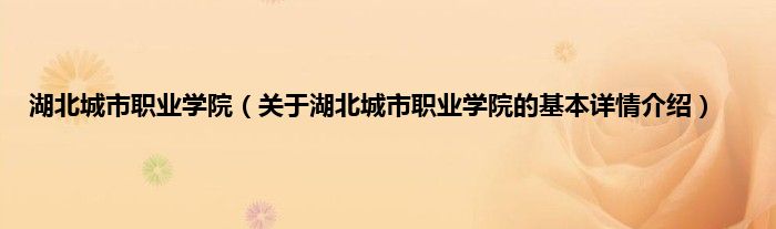 湖北城市职业学院(关于湖北城市职业学院的基本详情介绍)