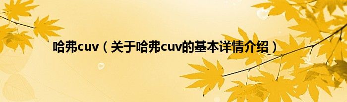哈弗cuv(关于哈弗cuv的基本详情介绍)