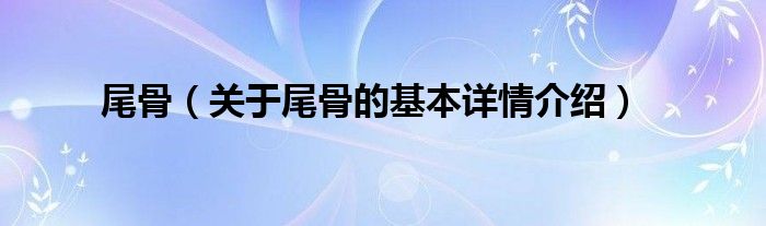 尾骨（关于尾骨的基本详情介绍）