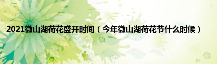 2021微山湖荷花盛开时间（今年微山湖荷花节什么时候）