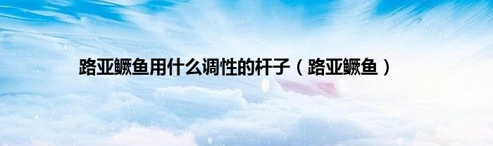 路亚鳜鱼用什么调性的杆子（路亚鳜鱼）