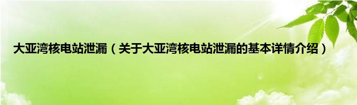 大亚湾核电站泄漏（关于大亚湾核电站泄漏的基本详情介绍）