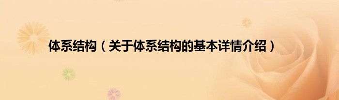 体系结构（关于体系结构的基本详情介绍）
