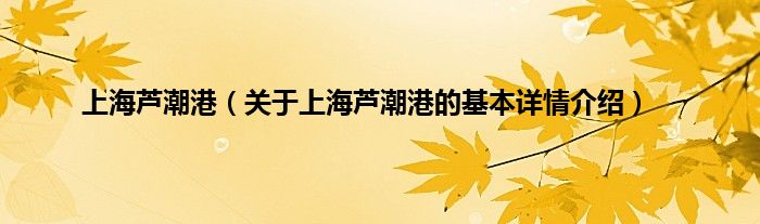 上海芦潮港（关于上海芦潮港的基本详情介绍）