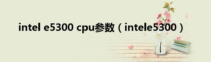 intel e5300 cpu参数（intele5300）