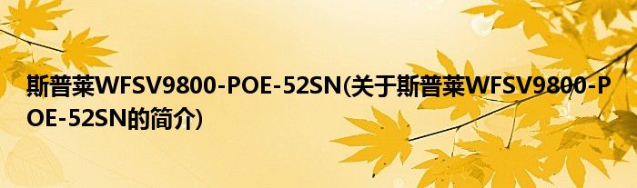 斯普莱WFSV9800-POE-52SN(关于斯普莱WFSV9800-POE-52SN的简介)