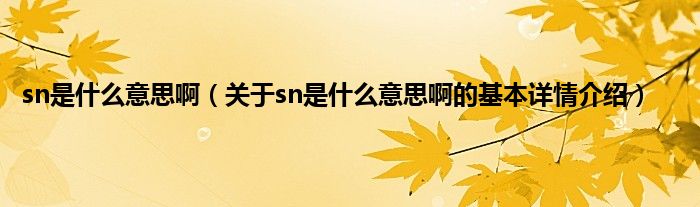 sn是什么意思啊（关于sn是什么意思啊的基本详情介绍）