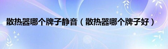 散热器哪个牌子静音（散热器哪个牌子好）