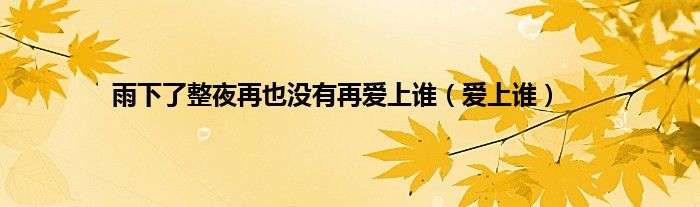 雨下了整夜再也没有再爱上谁（爱上谁）