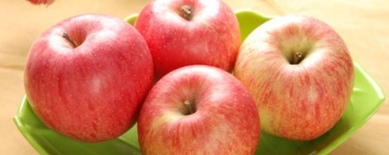 苹果脆的好还是粉的好