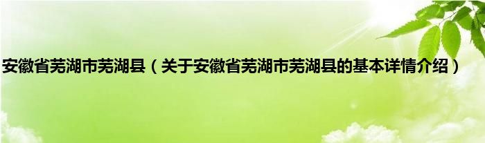 安徽省芜湖市芜湖县（关于安徽省芜湖市芜湖县的基本详情介绍）