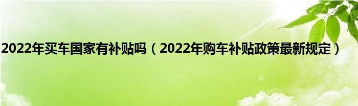 2022年买车国家有补贴吗（2022年购车补贴政策最新规定）