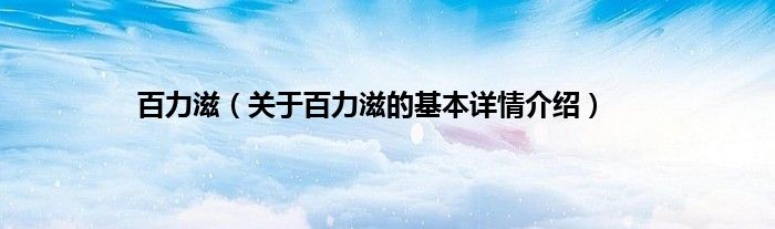百力滋（关于百力滋的基本详情介绍）