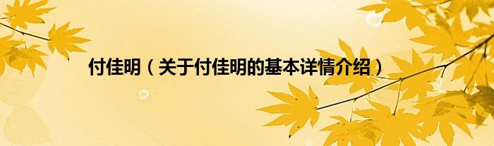 付佳明（关于付佳明的基本详情介绍）