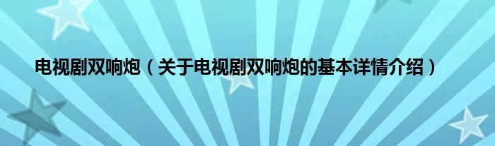 电视剧双响炮（关于电视剧双响炮的基本详情介绍）