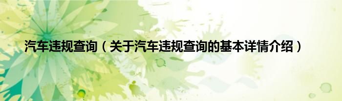 汽车违规查询（关于汽车违规查询的基本详情介绍）