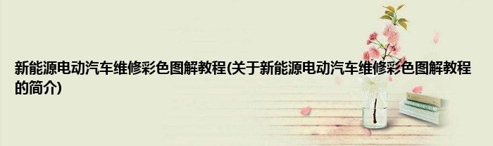 新能源电动汽车维修彩色图解教程(关于新能源电动汽车维修彩色图解教程的简介)