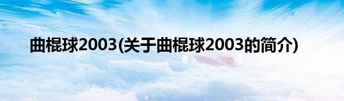 曲棍球2003(关于曲棍球2003的简介)