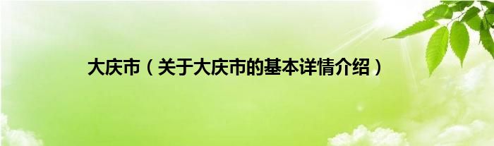 大庆市(关于大庆市的基本详情介绍)
