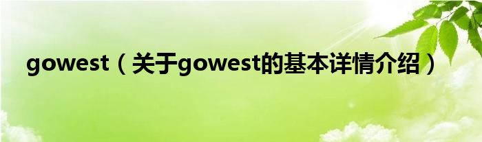 gowest（关于gowest的基本详情介绍）