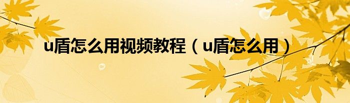 u盾怎么用视频教程(u盾怎么用)